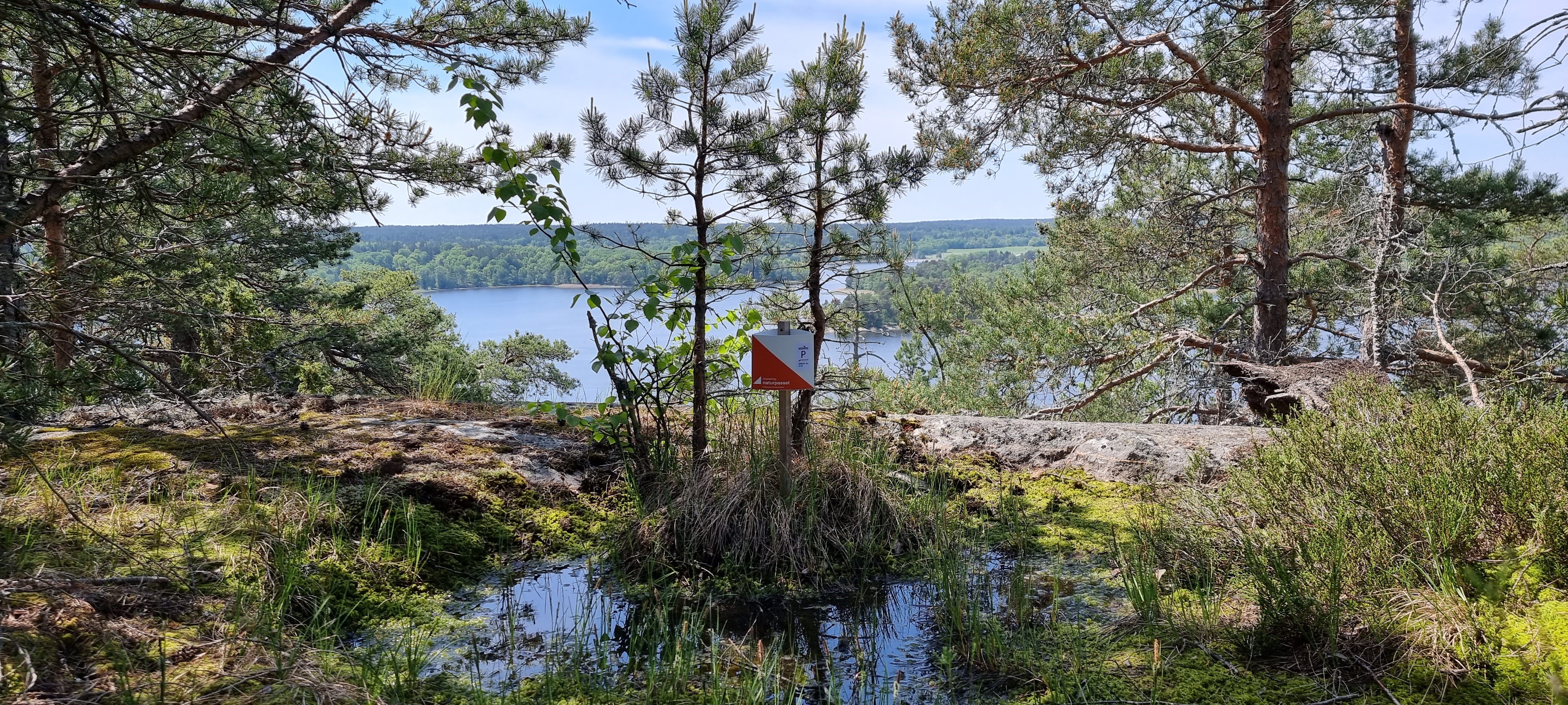 Naturpasskärm vid mosse med utsikt över en sjö