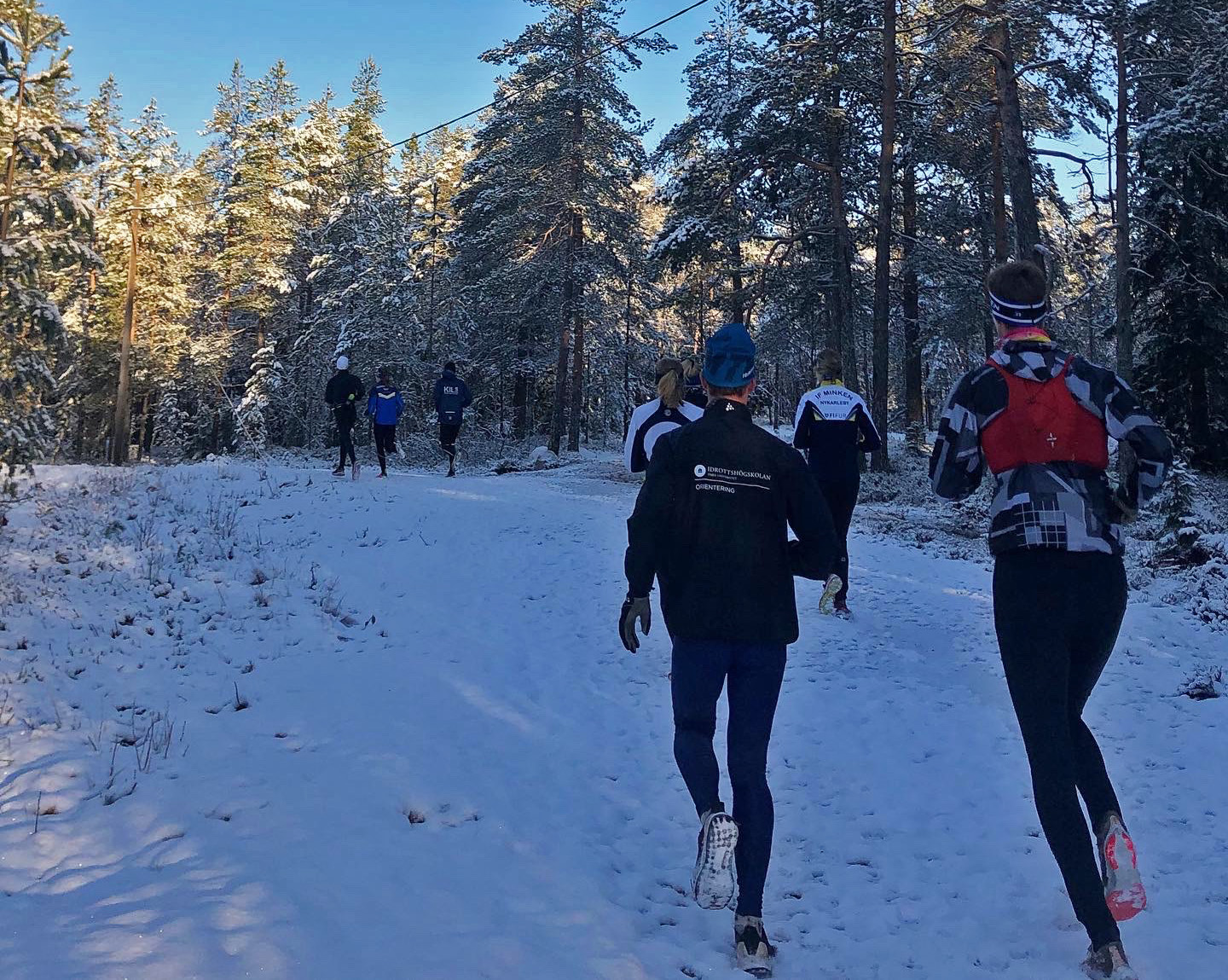 Ett gäng från elitmiljön i Umeå springer på en snötäckt stig i skogen.