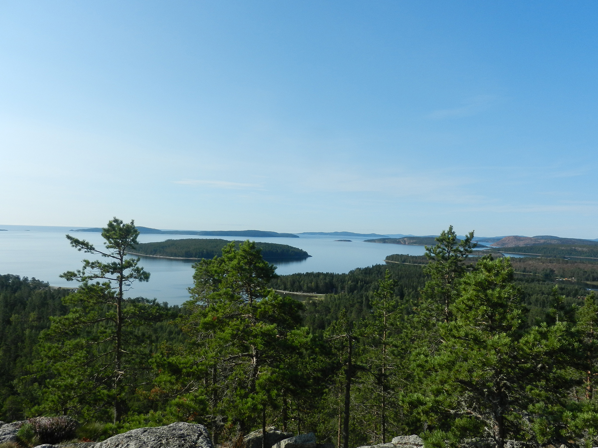 Utsikt mot havet från Ögeltjärnsberget, Örnsköldsvik